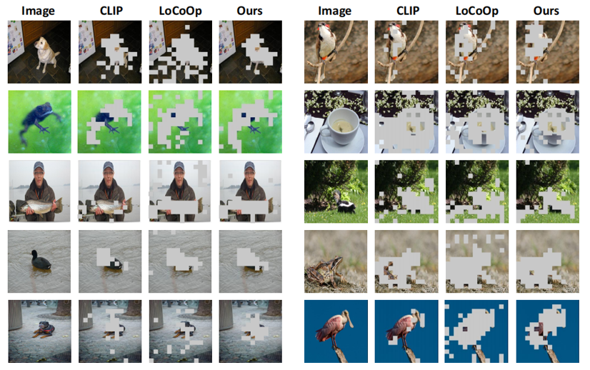 ImageNet-Bg overview