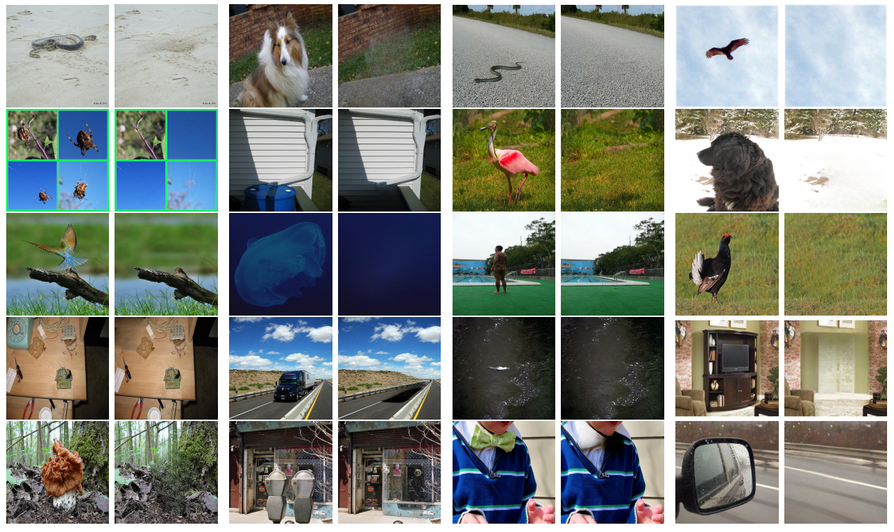 ImageNet-Bg examples