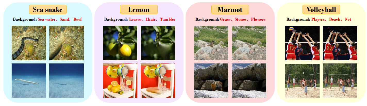 ImageNet-Bg overview
